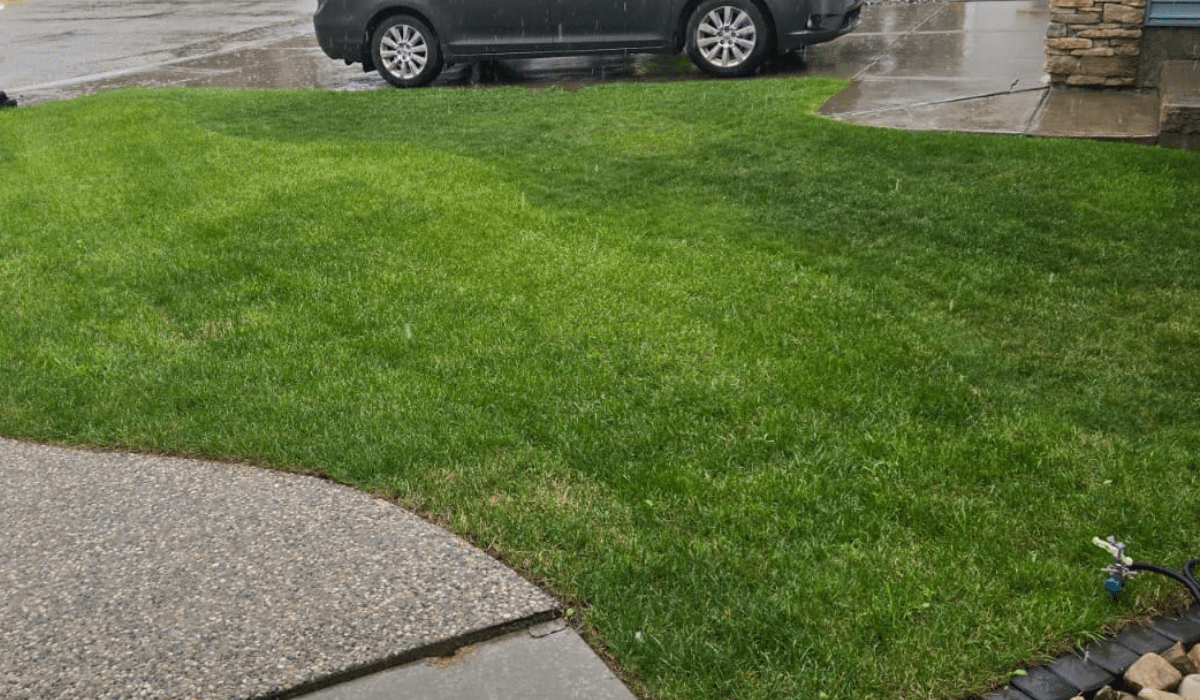 Sodding