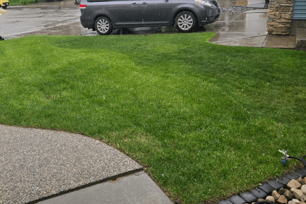 Sodding
